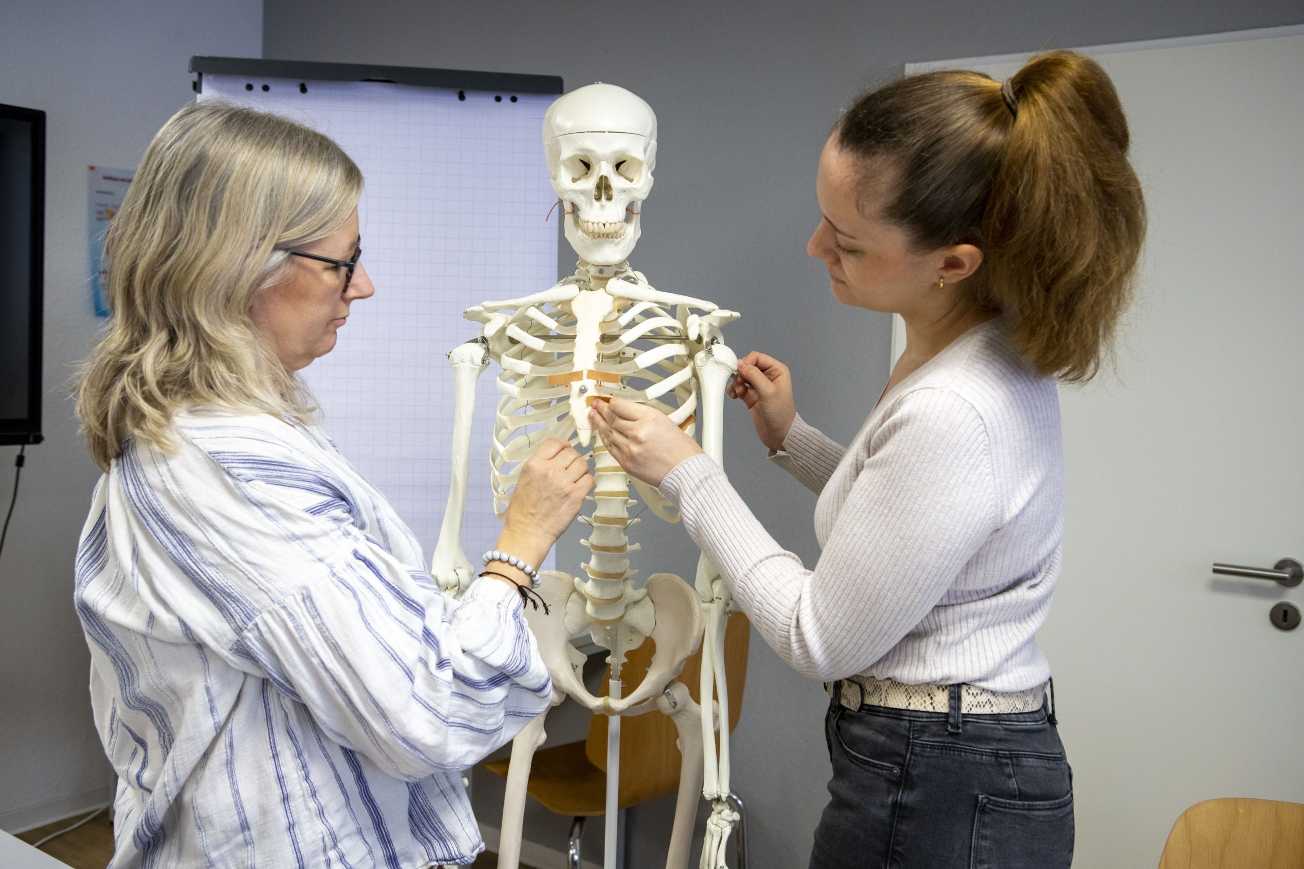 01F Zwei Frauen zeigen auf das Brustbein eines menschlichen Skelettmodells während einer Schulung oder medizinischen Demonstration.