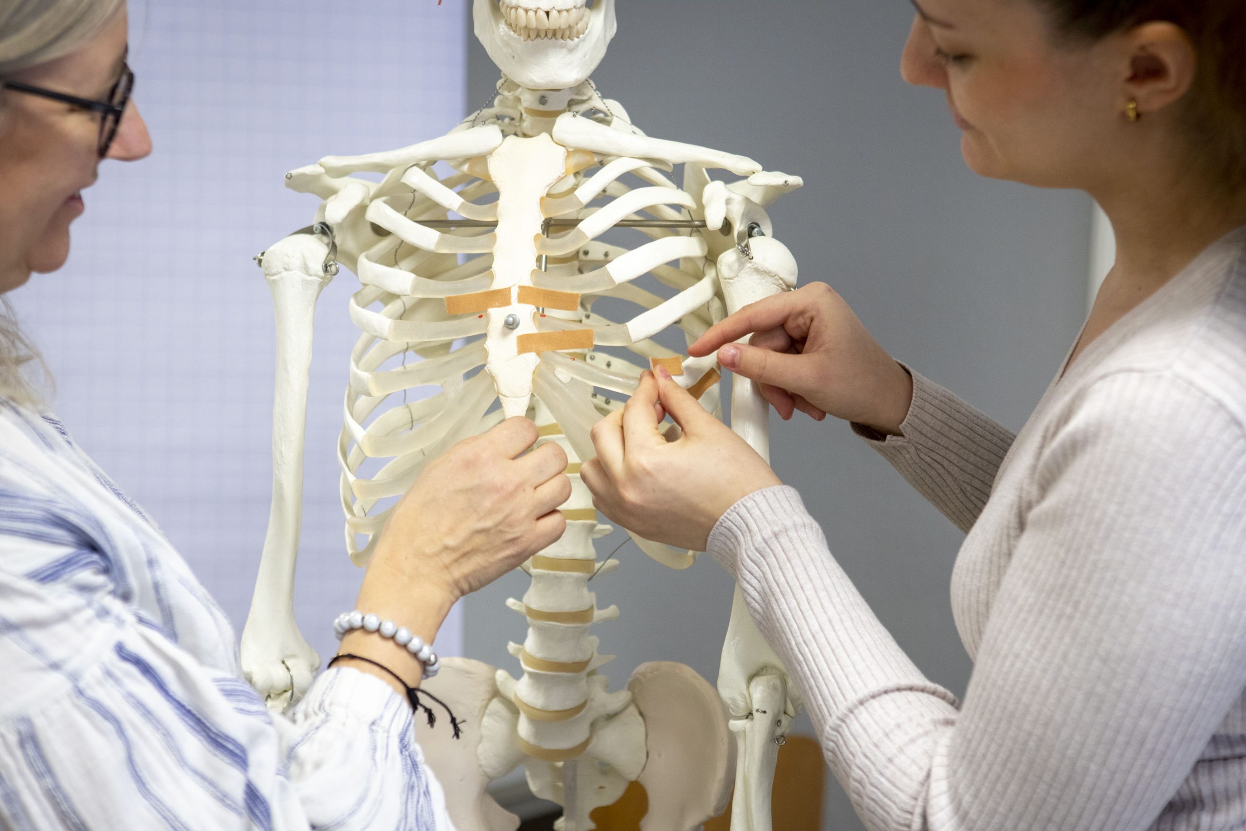 Nahaufnahme von Händen, die im Zusammenhang mit dem Unterricht Etiketten auf das Skelettmodell kleben.